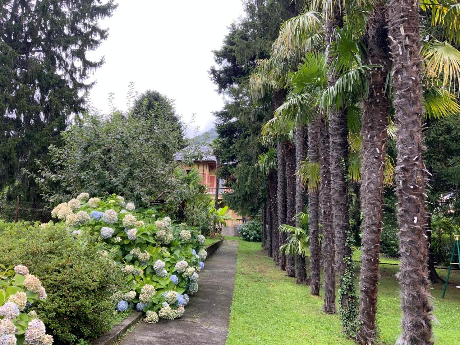 Villa Del Castanar Maccagno Exterior foto